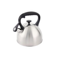 Свирещ чайник Golden Sea GS-04156D, 2,1литра, неръждаема стомана, термо дръжка, мат